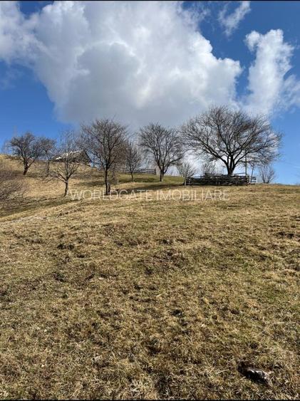 Vanzare Teren cu Punct de Belvedere in Moieciu zona Magura-Pestera - 15
