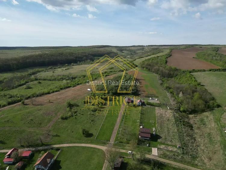 Casa de vacanta cu teren si padure de 3.8ha | Nadas | Herneacova - 4