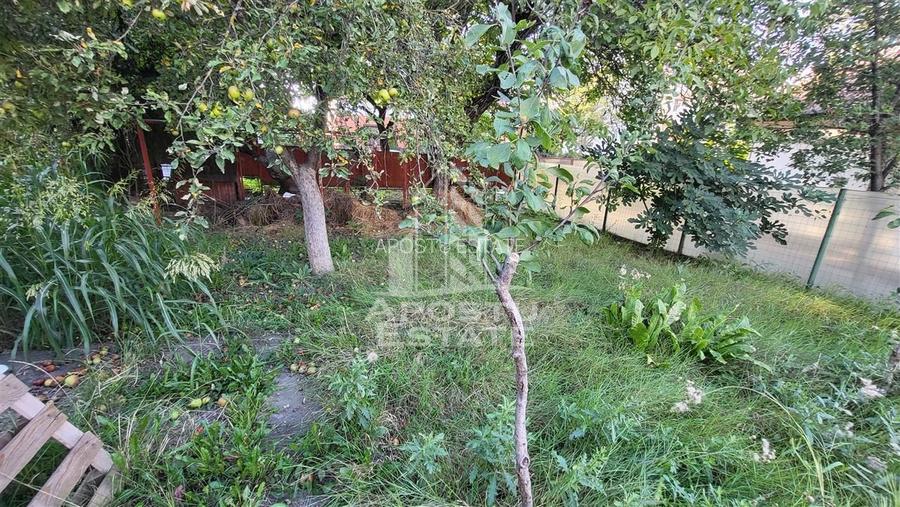 Casa individuala SAD, 3 camere, Olimpia - 2