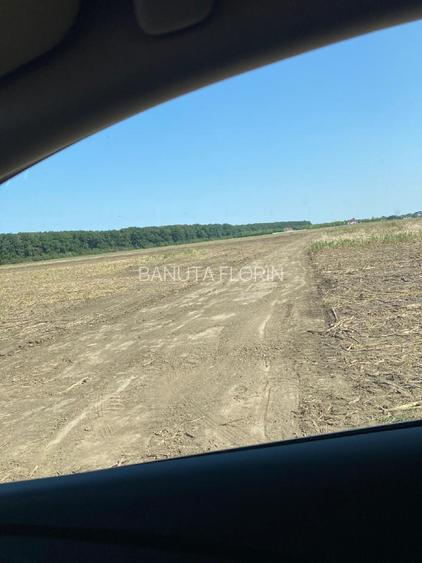 Proprietar - vand teren Afumati - 3