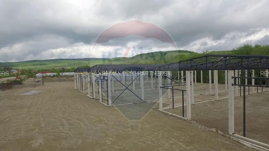 Hala industriala, de inchiriat– 600 mp utili, 1200 mp teren - 5