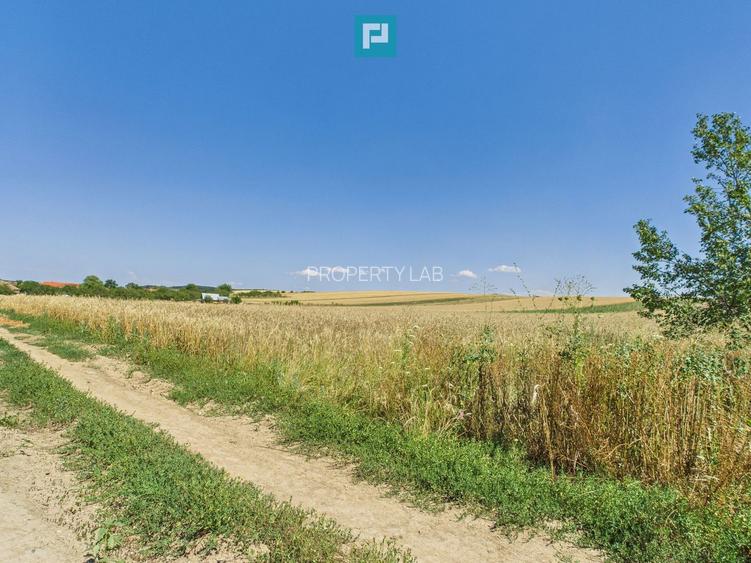 Teren intravilan + extravilan în Remetea Mică - 5