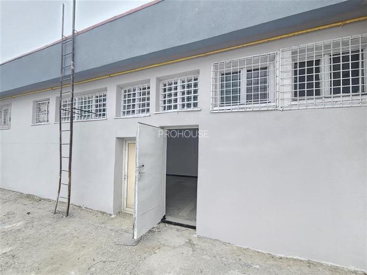 Spatiu Comercial, 250mp, Narcisa-ONIX - 10