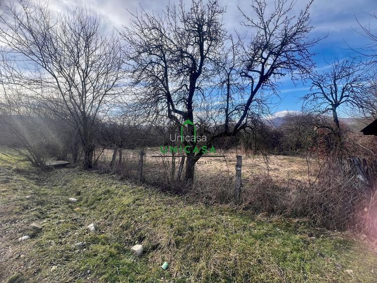 Teren Daesti / 814mp - 6