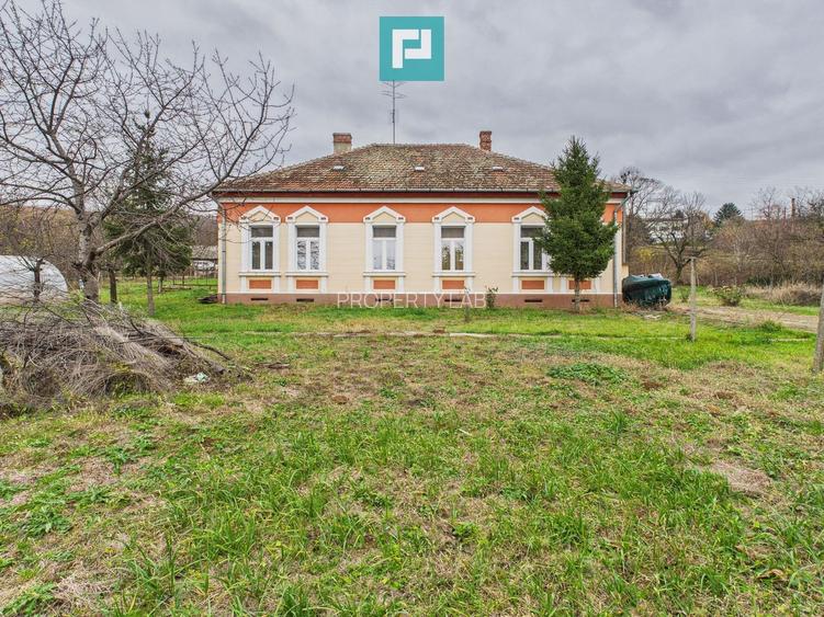 CONAC IMPRESIONANT ÎN GHIOROC - 16