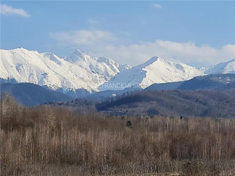 Teren intravilan 2500mp  pe Valea Avrigului,optim casa de vacanta - 7