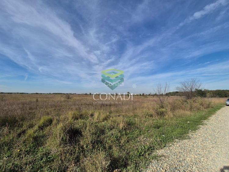 Teren de vanzare Padurea Baneasa 7.500 mp - 2