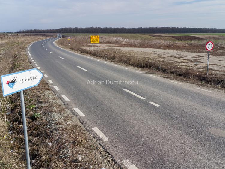 Teren intravilan la asfalt si statie autobuz Ilfov Cernica Posta - 10