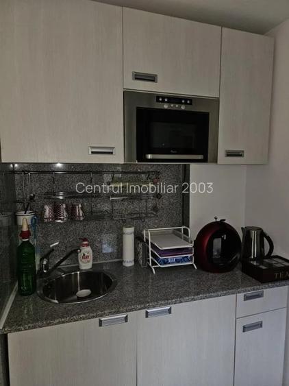 Garsoniera mobilata, Investitie,inchiriata 250 euro, Teiul Doamnei - 4