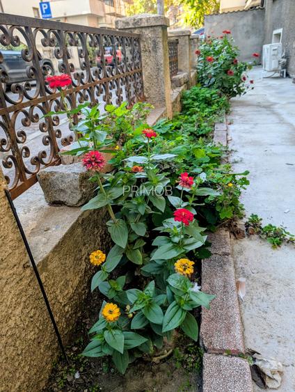 Apartament la parter de vila eleganta P+1 cu doar 2 apt,Parcul Carol,1/2 curte - 11