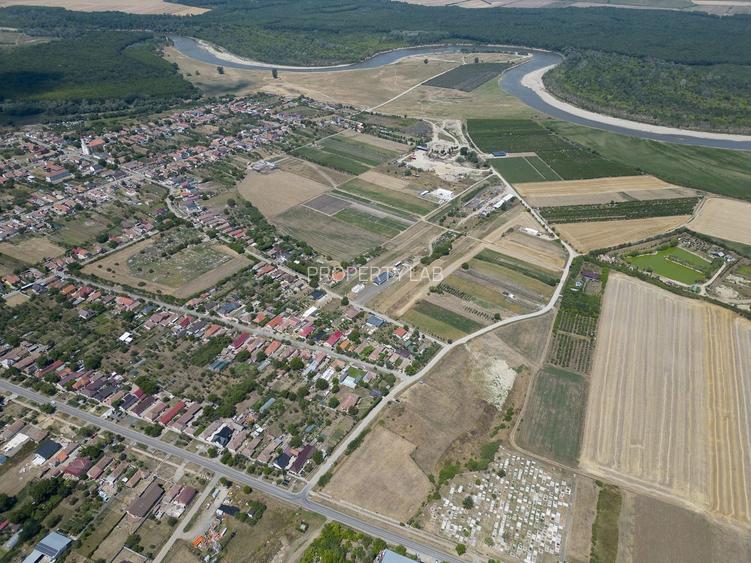 Teren intravilan 6.005 mp in Zădăreni - 12