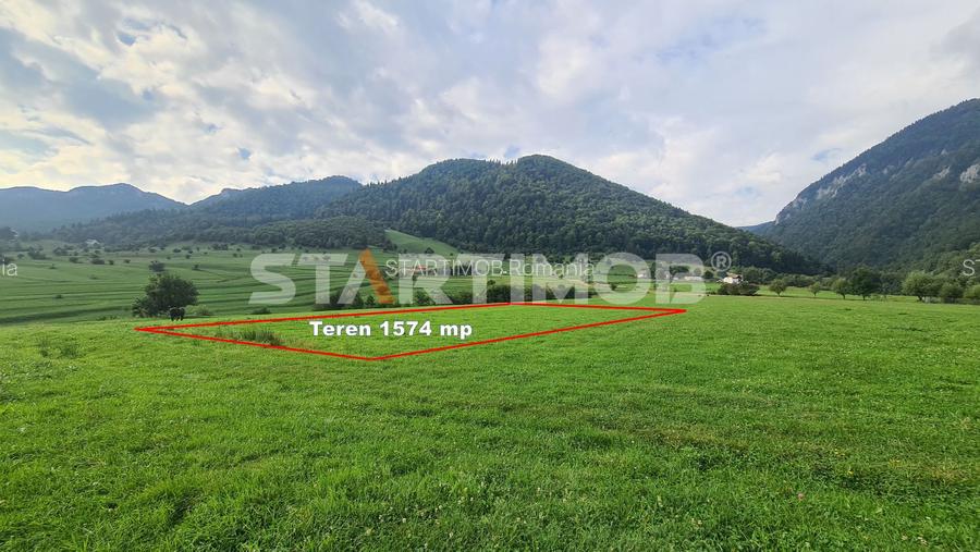 Teren intravilan Zarnesti - 6