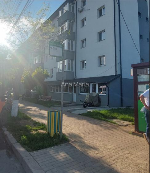 Proprietar Apartament 2 camere Lunca Cetățuii - 7