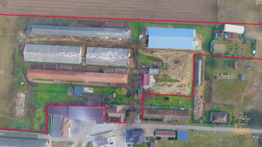 Domeniu - Centru de colectare, 7 ha de vanzare in Valea lui Mihai - 8