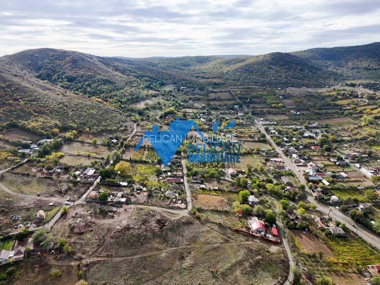 Teren intravilan NICULITEL, zona deosebita, 3044MP - 4