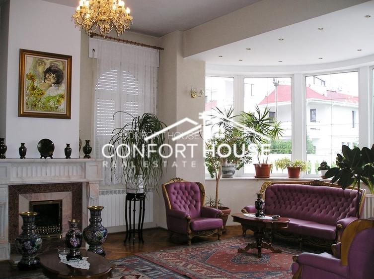 Proprietate impresionanta D+P+M, teren 4781MP, IANCU NICOLAE - 7