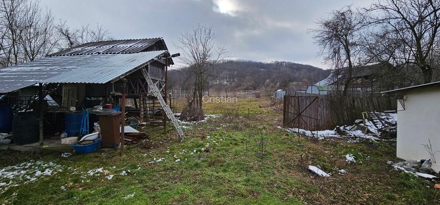 VÂNZARE MOȘIE – Sat Mitrofani, Comuna Mitrofani, jud. Vâlcea - 16