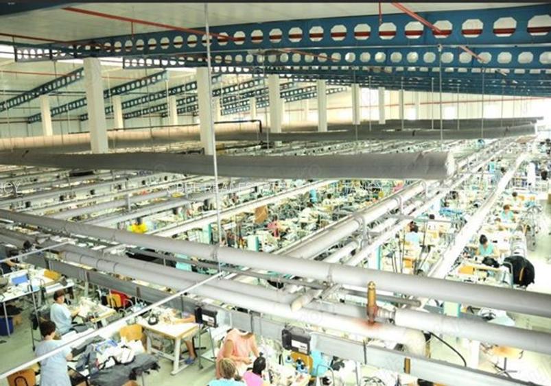 Oportunitate vanzare inchiriere Baia Mare - 4