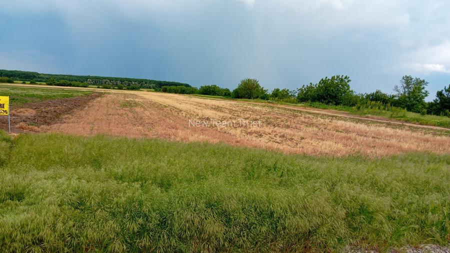 Petrechioaia  Vanzare  Tarla 32  Teren Extravilan  28353mp(3eur/mp) - 3