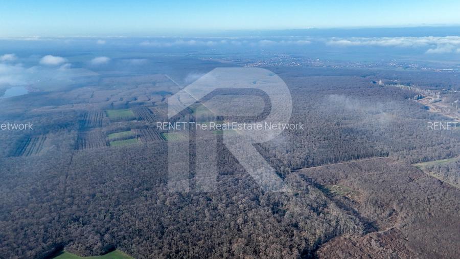 Teren langa Manastirea Sfantul Nicolae Sitaru - 5