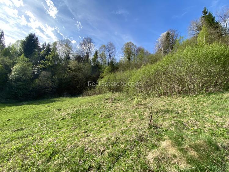 Teren panoramic insorit, utilitati, panta mica si padure, turism sau vacanta - 8