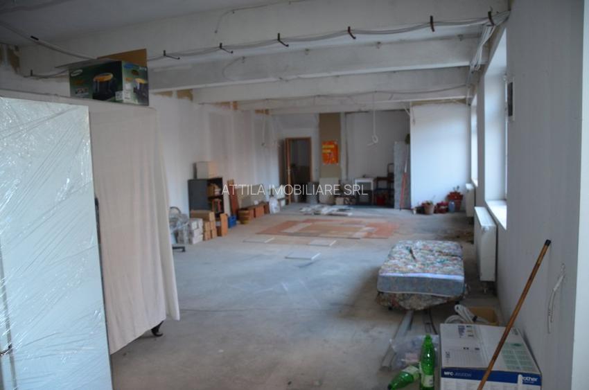 Sagului spatiu 105 mp 1050 euro+TVA - 3