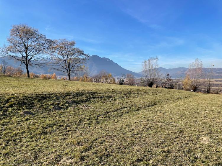 Teren intravilan loturi intre 500 si 1000 m, la 5 km de Moieciu - 14