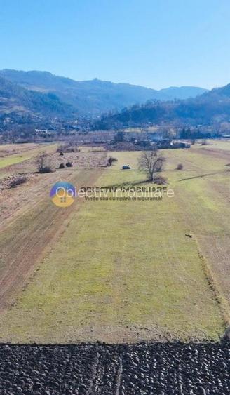 TEREN intravilan  4488 mp - PÂNGĂRAȚI - 9