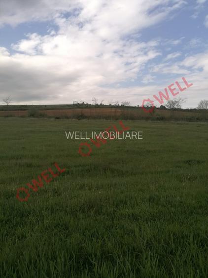 Teren intravilan de vânzare în Moacșa (Eresteghin)! - 8