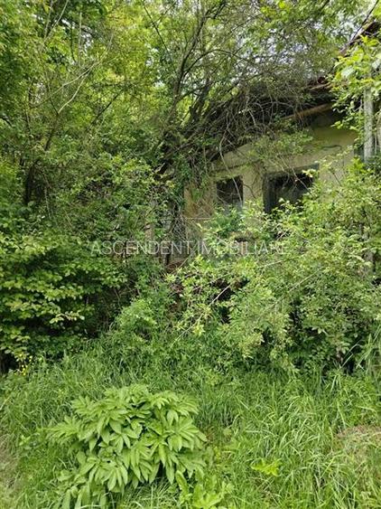 Domeniu verde autentic,  +5.000mp, front la DJ, Valcele, Brasov -- Covasna - 5