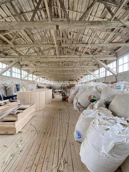 HALE-DEPOZIT DE VANZRE SI TEREN 10000 mp  AGAS jud.Bacau - 6