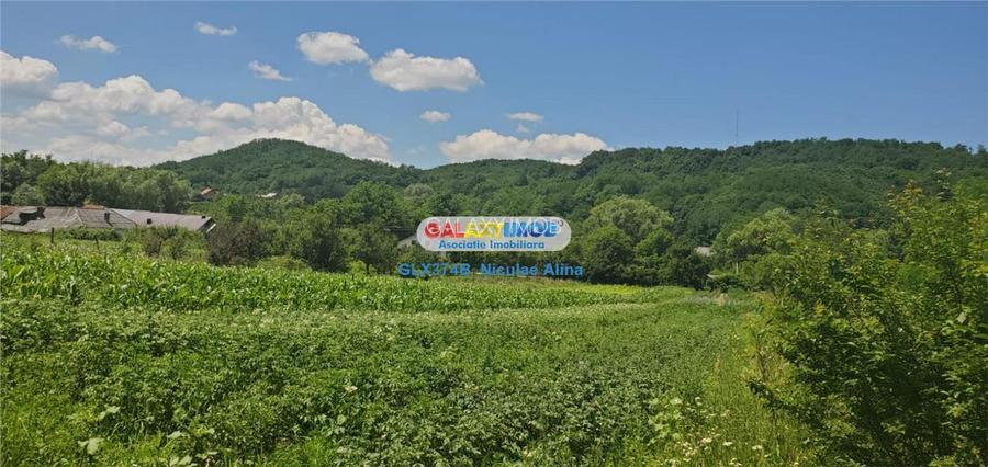 Teren intravilan comuna Bogati sat Birloi Jud. Arges - 2