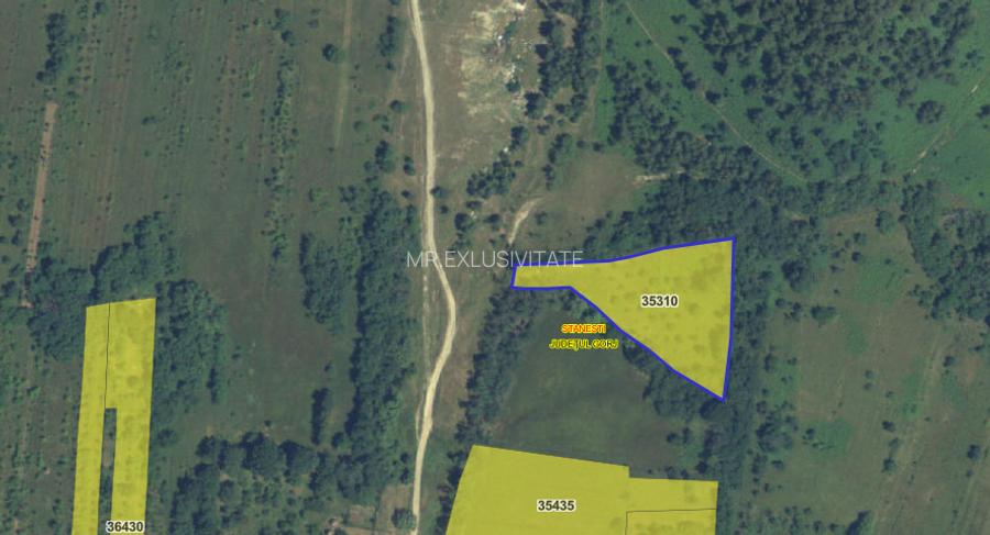 Teren extravilan de vânzare – Stănești, 3.861 mp, livadă de cireși - 7