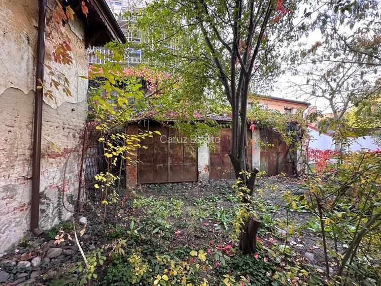 Casa individuala Cismigiu - 11