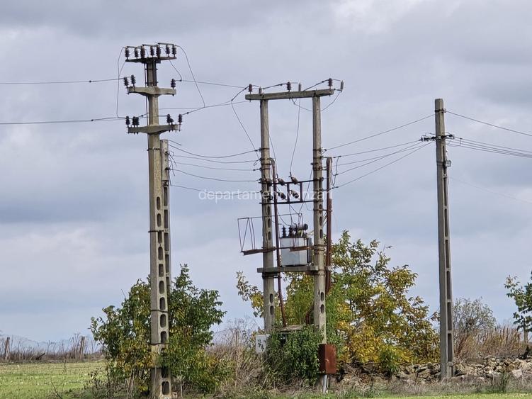 Amzacea- sat G. Scarisoreanu -Ferma zootehnica , 5,1 hectare - 6