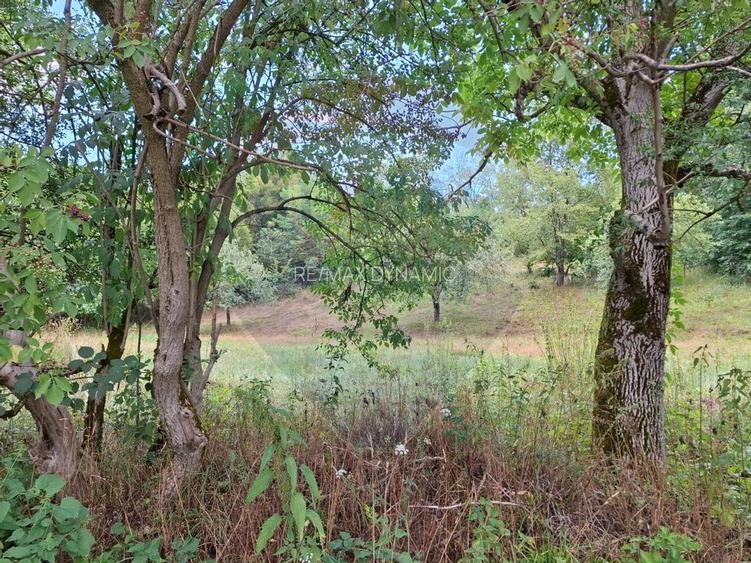 Teren de vânzare 990mp în Barzava, județul Arad - 7