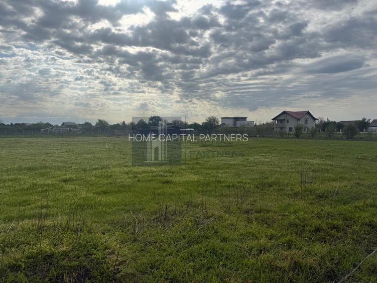 Teren intravilan 953 mp – comuna Tunari, sat Dimieni | judetul Ilfov - 3