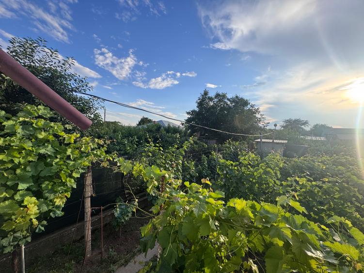 Confort, grădină și liniște la câteva minute de Galați | Casă in Tulucești
