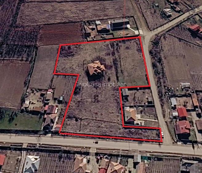 Teren  8 227 mp + Casa demolabila de vanzare in Filiasi -  Fratostita Dolj - 2
