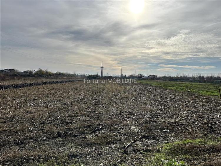 Teren intravilan Boldesti Scaieni - 5