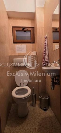 Vila/Casa Piata Alba Iulia - Birouri  / Decebal - 14