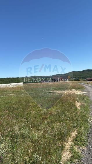 Teren 3,757mp Paltinoasa / Strada principala - 12