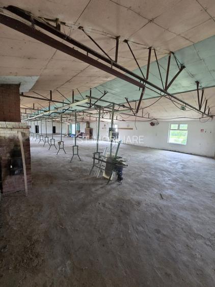 Teren cu hale de vanzare sau inchiriere ideal  investitie - Medies - 8