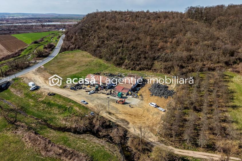 1,2 ha teren comercial/industrial cu hale in Baratca Paulis Arad - 5