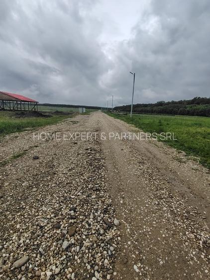 Teren intravilan - 860 mp - Deschidere 20 mp - Ciocani - Crevedia - 3
