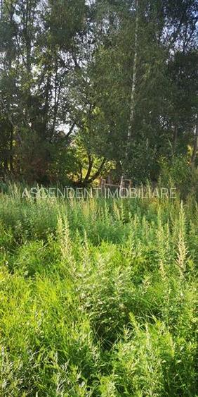 FILM! Constructie rustica tip Casa Verde, cu parau si panorama impresionanta, Mo - 28