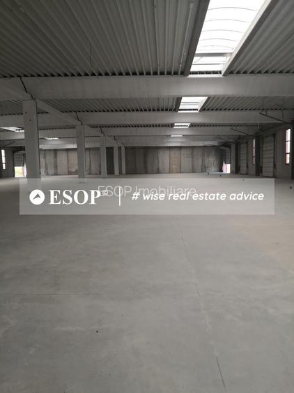 Hale industriale, parc modern, Rudeni, Chitila, Ilfov- ID 15462 - 5