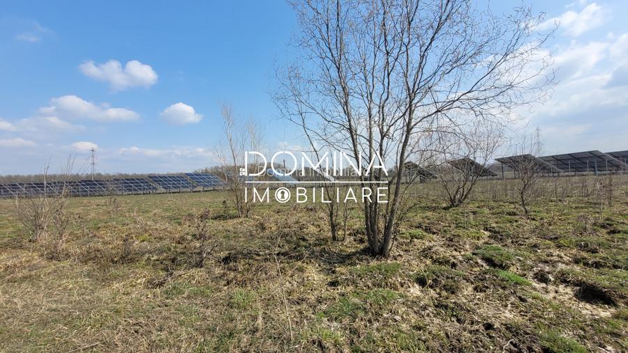 Vanzare teren intravilan, 978 mp, comuna Dragutesti, sat Urechesti - 7