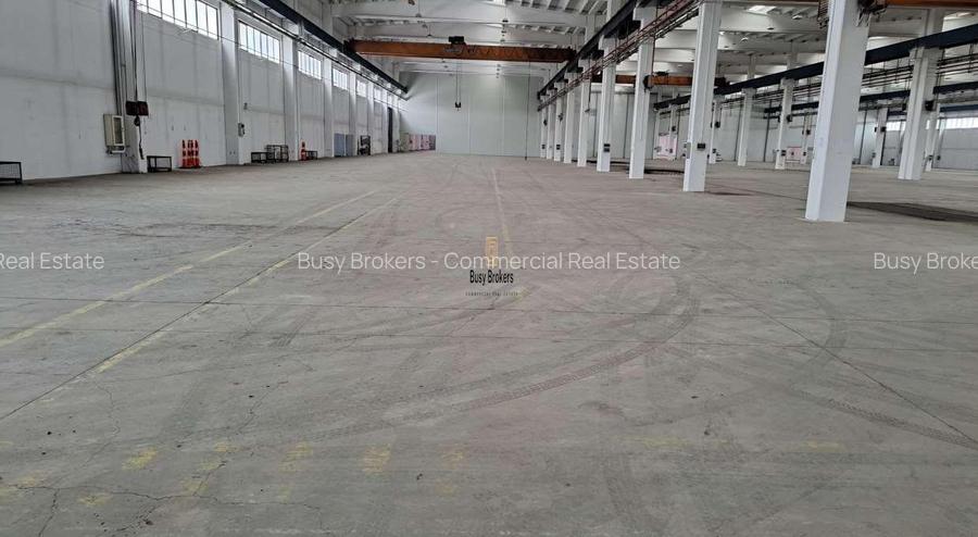 Proprietate Industriala - 19500 mp - Productie - Depozitare - Distributie - 3