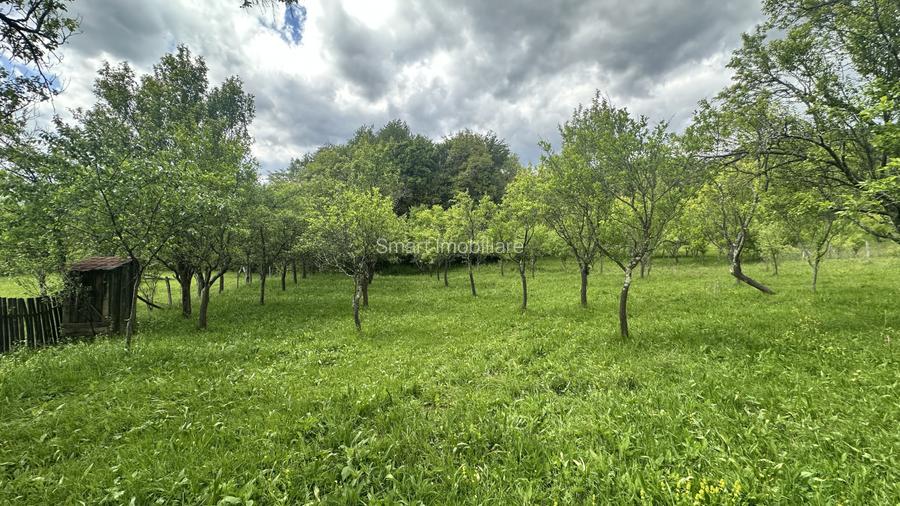 Teren intravilan 3102mp zona Racovita-Blanoiu - 6